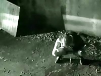 Security cam compilation
