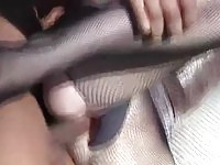 Horny guy fucks an eager slut outdoors in the park