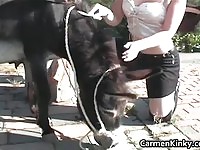 Two dirty smokers on a donkey